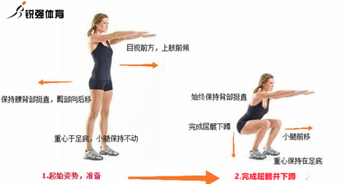 深蹲動(dòng)作.jpg 深蹲動(dòng)作.jpg